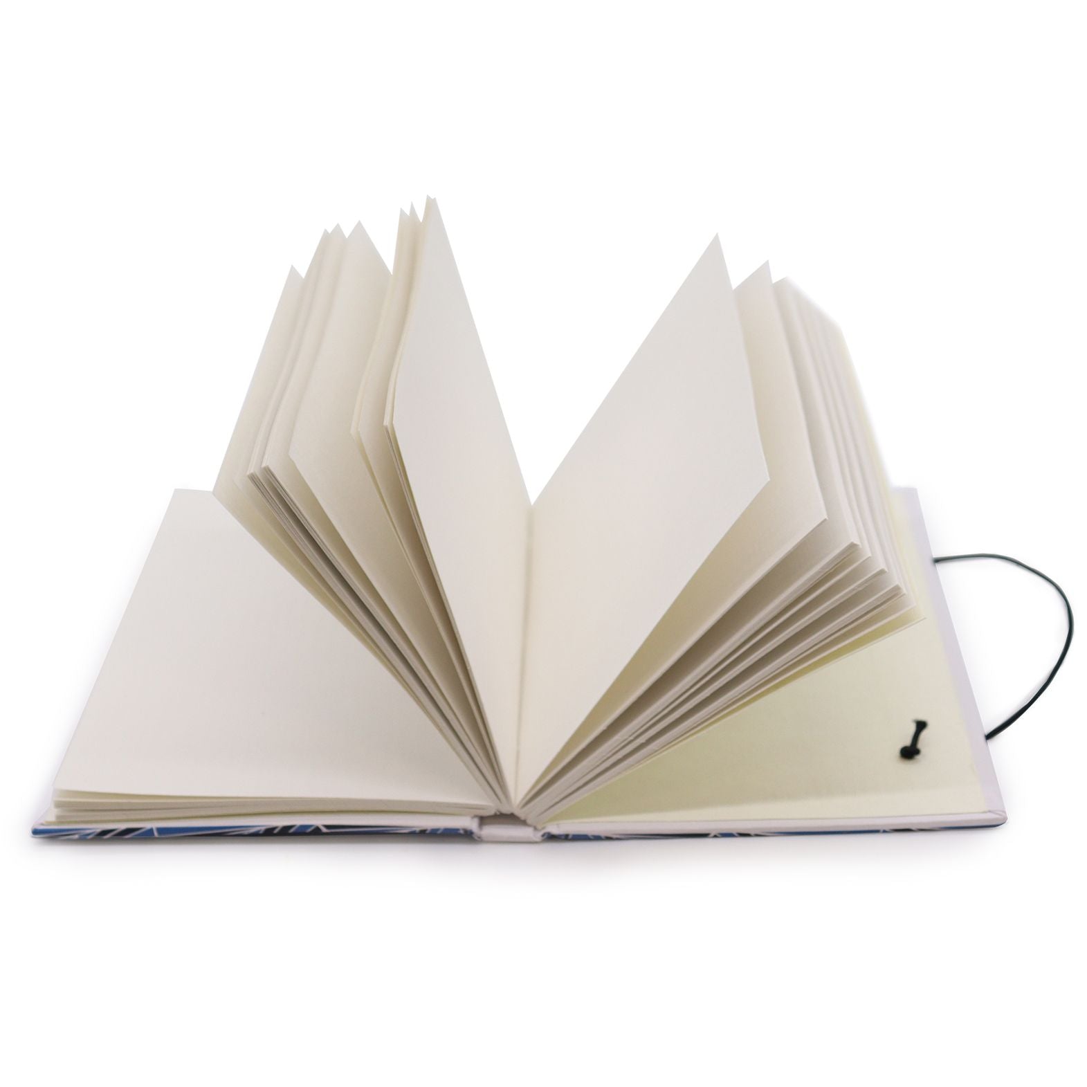 Journal with strap - Leaves on the same tree